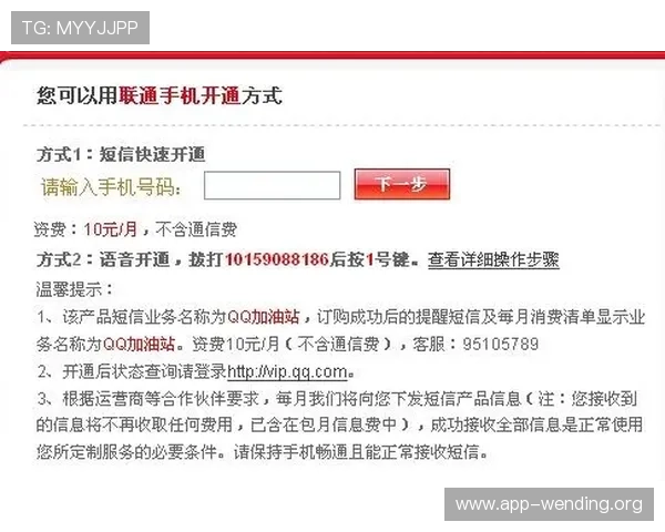 问鼎手机版会员登录流程详解，确保每一步都能顺利完成账号登录